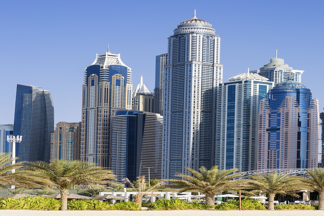 Vertical view of skyscrapers and palm trees